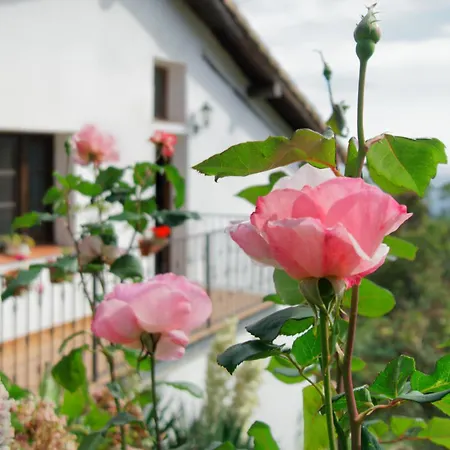 Casas Arbillas-3